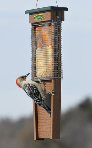 Pileated Woodpecker Suet Shield Wrap Feeder with a woodpecker perched on it, featuring stainless steel mesh to prevent large birds and squirrels from stealing suet.