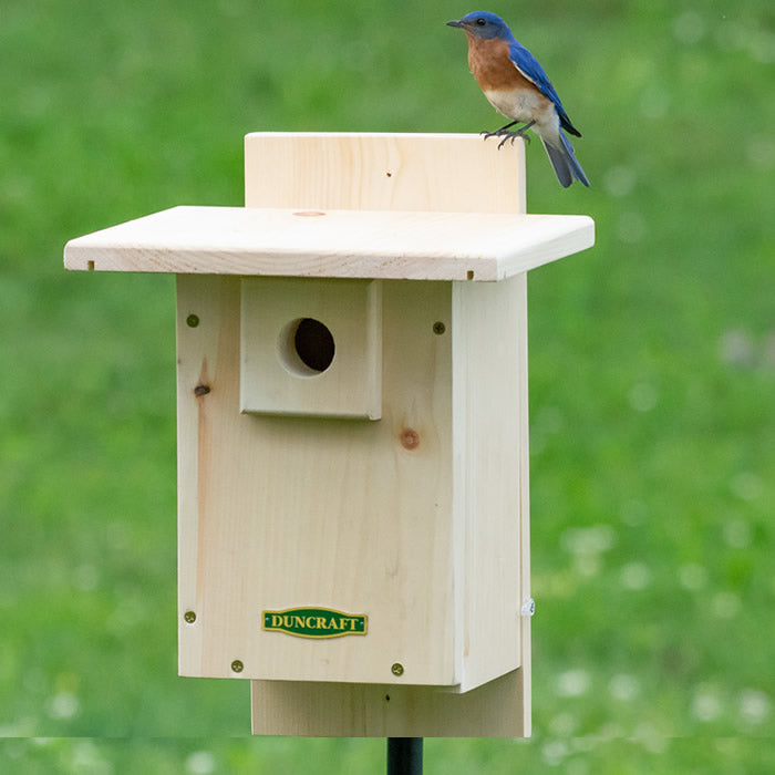 Duncraft Well Vented Bluebird Nestbox Bird House with a bird perched on its roof, featuring generous ventilation and a predator guard.