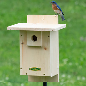 Duncraft Well Vented Bluebird Nestbox Bird House with a bird perched on its roof, featuring generous ventilation and a predator guard.