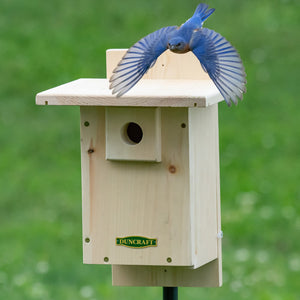 Duncraft Well Vented Bluebird Nestbox Bird House with a blue bird flying nearby, featuring ventilation openings and a predator guard.