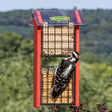 Red Arrow Double Suet Shield Feeder with a woodpecker perched, featuring a suet cage and stainless steel mesh insert for controlled feeding.