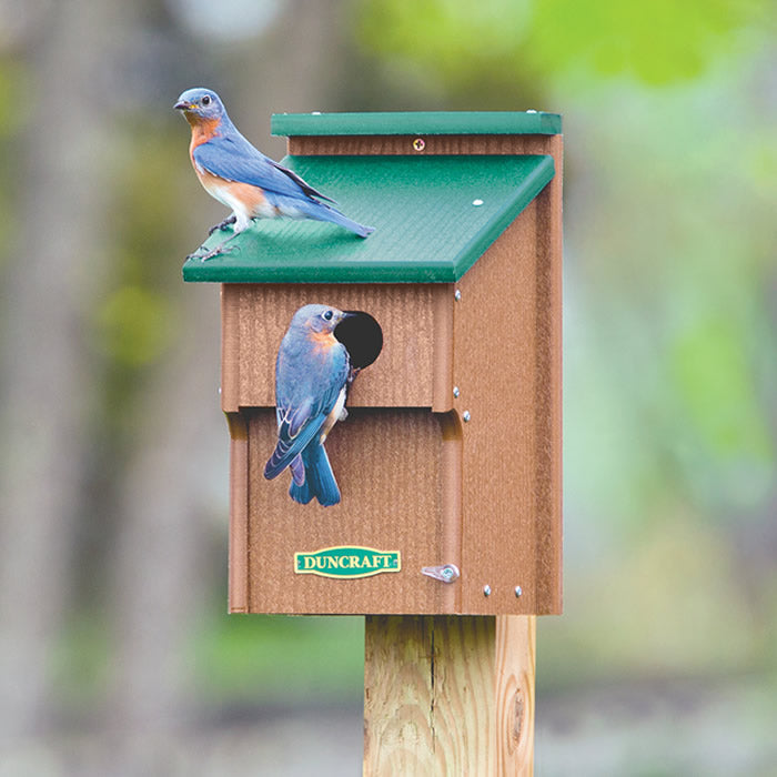 Duncraft Bluebird Double Guarded House with a bluebird perched on the green roof, showcasing the birdhouse's predator guard and front panel.