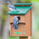 Duncraft Bluebird Double Guarded House with green roof, visited by two Eastern Bluebirds; one perches atop, another clings to the entrance, showcasing predator protection.