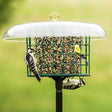 Duncraft Protected Seed Block Haven & Pole featuring a green metal-grid feeder with a clear dome, hosting woodpeckers and a goldfinch.