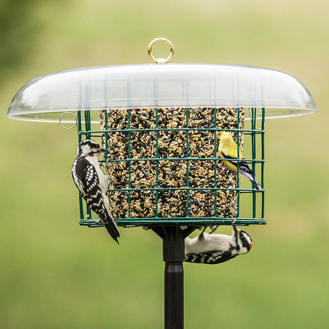 Duncraft Protected Seed Block Haven & Pole featuring wire caging with birds feeding, includes a weather dome and sectional pole for rain protection and easy refills.