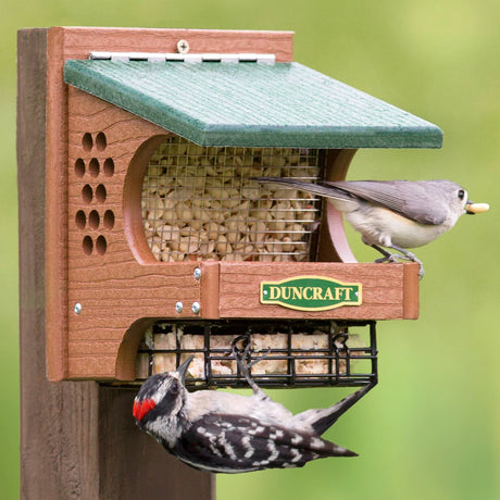 Duncraft Woodpecker Delight Bird Feeder with peanuts and suet cage. Tufted titmouse on peanut tray; woodpecker feeds from suet cage below.
