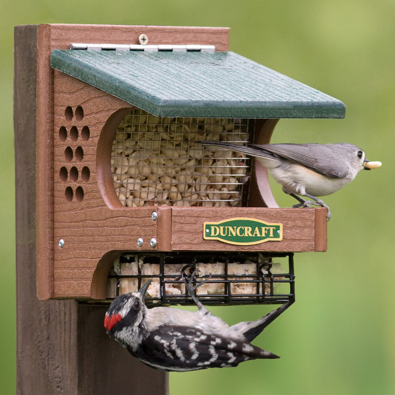 Duncraft Woodpecker Delight Bird Feeder