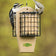 Duncraft Eco-Strong Double Suet Shield™ Feeder with two suet cakes, features Downy Woodpecker and nuthatch feeding, showcasing bird-friendly design with suet-saving mesh insert.