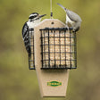 Duncraft Eco-Strong Double Suet Shield Feeder with two birds perched on it, featuring stainless steel mesh to prevent suet gorging.