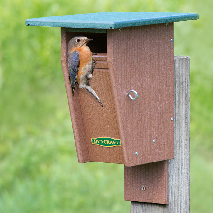 Duncraft Slot Bluebird Trail House with a bluebird perched inside, featuring a slotted entrance and grooved perches for easy nesting and protection.