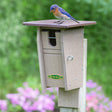 Duncraft Bluebird Trail House with a bluebird perched on the ledge, featuring a restricted oval entry hole and grooved perches for bird safety.