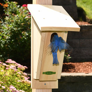 Duncraft Sloped Front Bluebird House with bluebird exiting, featuring an oval entry, sloping roof, and made from Eastern white pine for predator protection.