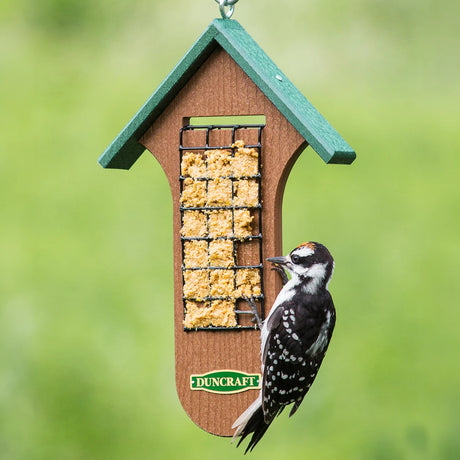 Duncraft Double Sided Woodpecker Feeder with suet block, featuring a Downy woodpecker. Made of recycled plastic with a wire mesh and tail prop.