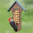 Duncraft Double Sided Woodpecker Feeder with a red-headed woodpecker eating from the wire mesh feeder.