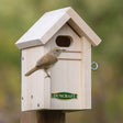 Duncraft Wren Cabin Bird House with a wren perched on the birdhouse featuring an oval entrance and grooved perches for easy fledging.