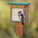 Duncraft Double Suet Shield™ Conserver with a Downy Woodpecker feeding through the wire mesh of the suet feeder, showcasing its dual suet cake capacity.