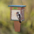 Duncraft Double Suet Shield Conserver with woodpecker perched on feeder, showcasing dual suet cakes and protective wire mesh. Ideal for long-lasting bird feeding.