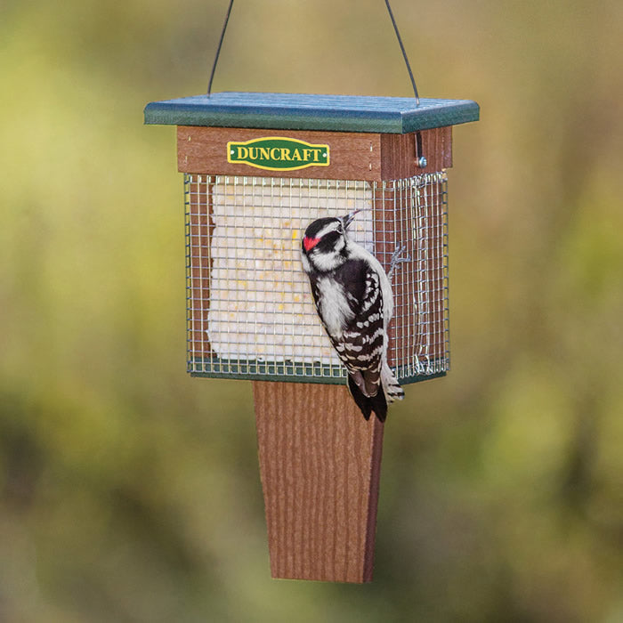 Duncraft Double Suet Shield Conserver with woodpecker perched on feeder, showcasing dual suet cakes and protective wire mesh. Ideal for long-lasting bird feeding.