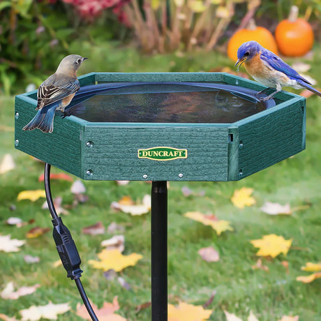 Duncraft Hexagon Heated Post Bird Bath with two Eastern Bluebirds perched on rim; features 60-watt heater and black pole.