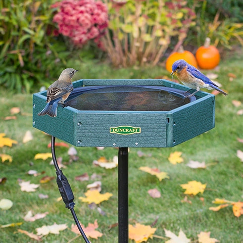 Bird Baths