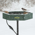 Duncraft Hexagon Heated Post Bird Bath in snow, attracting sparrows with ice-free water on a winter day.