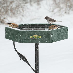 Duncraft Hexagon Heated Post Bird Bath in snow, attracting sparrows with ice-free water on a winter day.