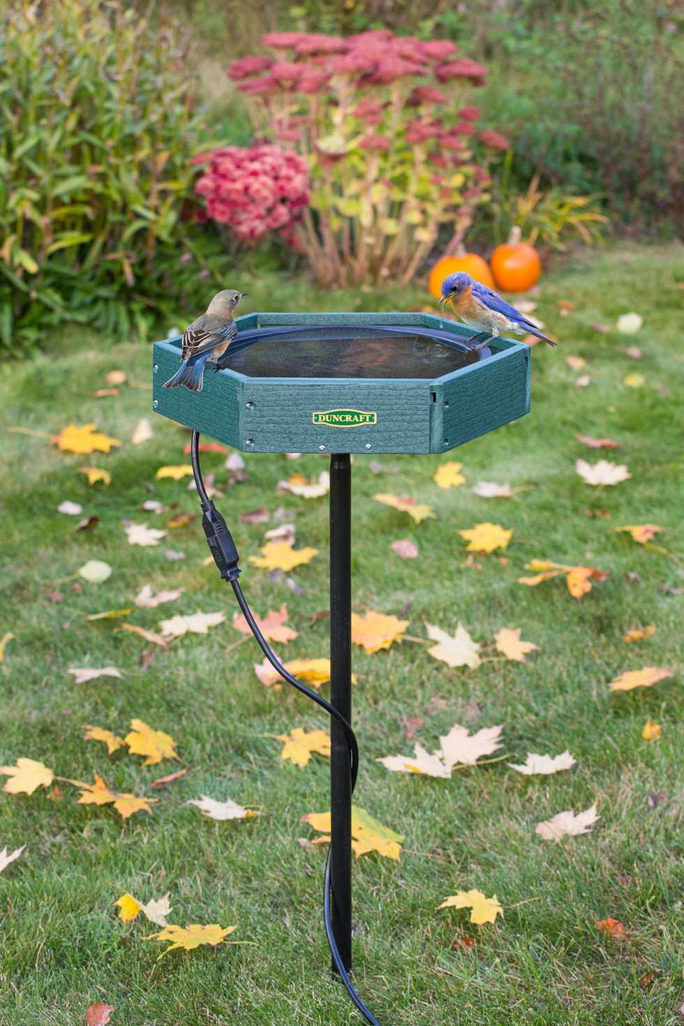 Duncraft Hexagon Heated Post Bird Bath