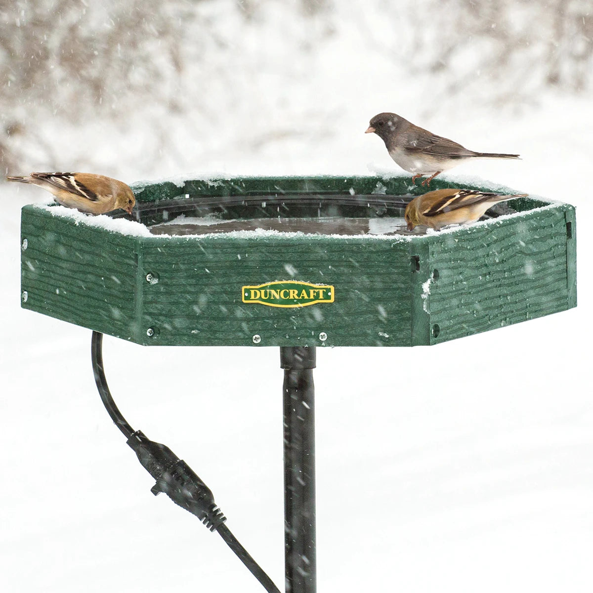 Duncraft Hexagon Heated Post Bird Bath with three small songbirds perched, featuring a snow-dusted green plastic design, mounted on a metal pole with an attached electrical cord.