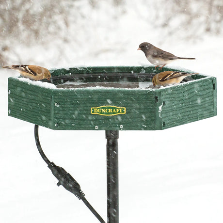 Duncraft Hexagon Heated Post Bird Bath with three small songbirds perched, featuring a snow-dusted green plastic design, mounted on a metal pole with an attached electrical cord.