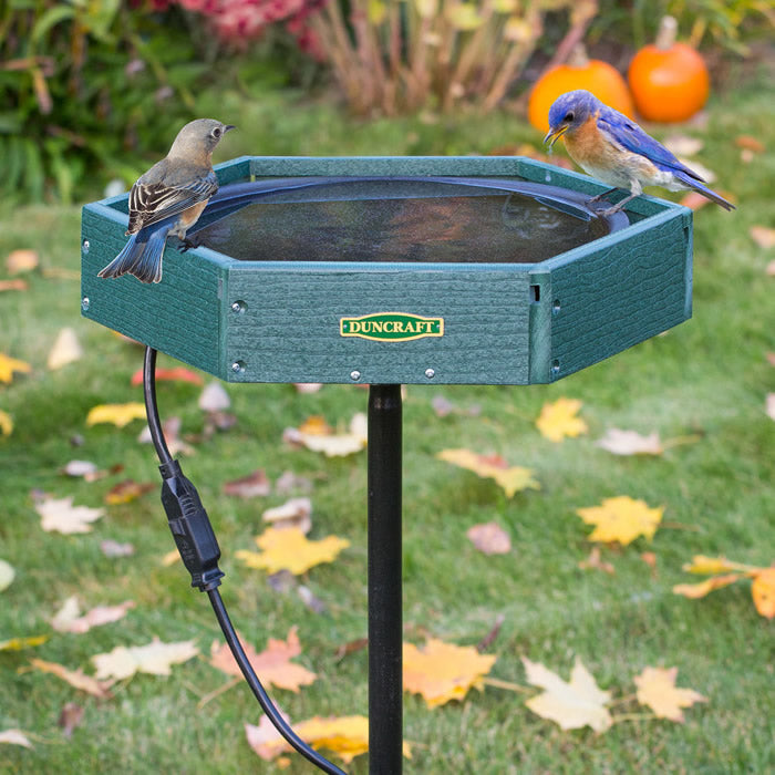 Duncraft Hexagon Heated Post Bird Bath with a blue bird perched on its edge, featuring a durable, ice-free water basin and a tall sectional pole.