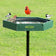 Duncraft Hexagon Post Bird Bath with four songbirds perched on its rim, showcasing its built-in perching space and shallow water basin on a sturdy metal pole.