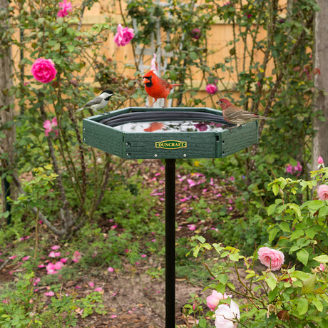 Duncraft Hexagon Post Bird Bath with a red cardinal perched on the basin, featuring built-in perching space and a black powder-coated steel pole.