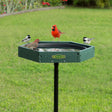 Duncraft Hexagon Post Bird Bath with multiple birds perched on the rim, featuring a green recycled plastic basin and black sectional pole, ideal for bird hydration and preening.