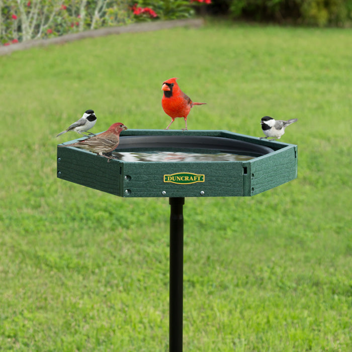 Duncraft Hexagon Post Bird Bath with multiple birds perched on the rim, featuring a green recycled plastic basin and black sectional pole, ideal for bird hydration and preening.