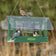 Duncraft Swinging Fly-Thru Feeder with a clear roof, hosting a finch, nuthatch, and chickadee, showcasing fly-through openings and perches for small birds.