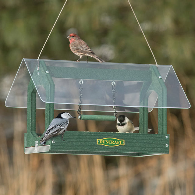 Duncraft Swinging Fly-Thru Feeder with clearview roof, wide openings, built-in perches, and a central wooden perch swing. Holds 1-1/2 cups of seed.