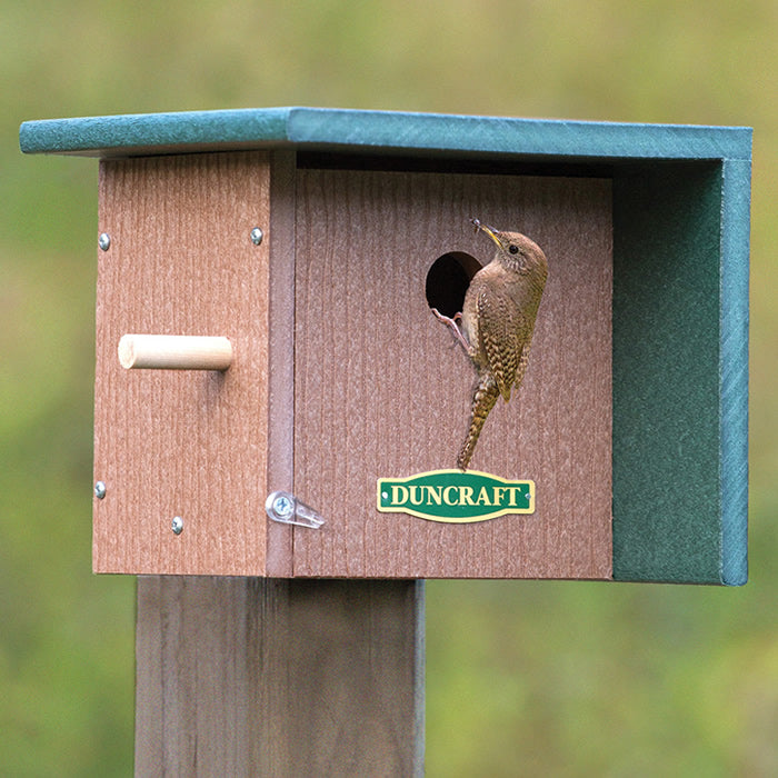 Duncraft Wind Block Wren House with a bird inside, featuring a wooden lookout perch and built-in ventilation.