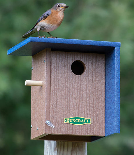 Duncraft Wind Block Bluebird House with a bird perched on its wooden lookout perch, featuring a protective wind block panel and ventilation slots.