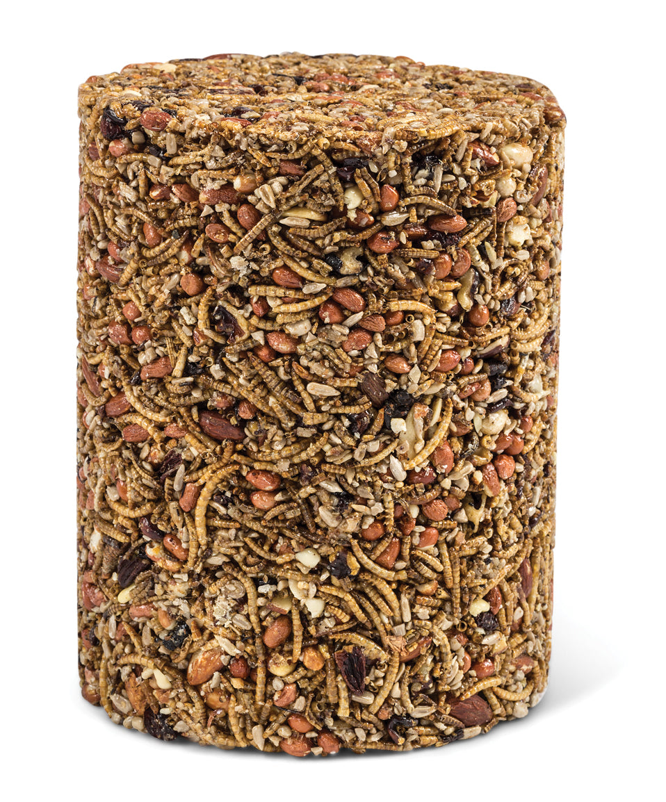 Bugs, Nuts & Fruit Cylinder Large: A cylindrical bird snack featuring cranberries, mealworms, peanuts, raisins, sunflower hearts, and tree nuts; ideal for backyard bird feeding.