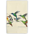 100% Cotton Tea Towel, Hummingbirds: Towel featuring vibrant hummingbird artwork by Robert Shetterly, with a corner loop for hanging, measures 27 x 27 inches.