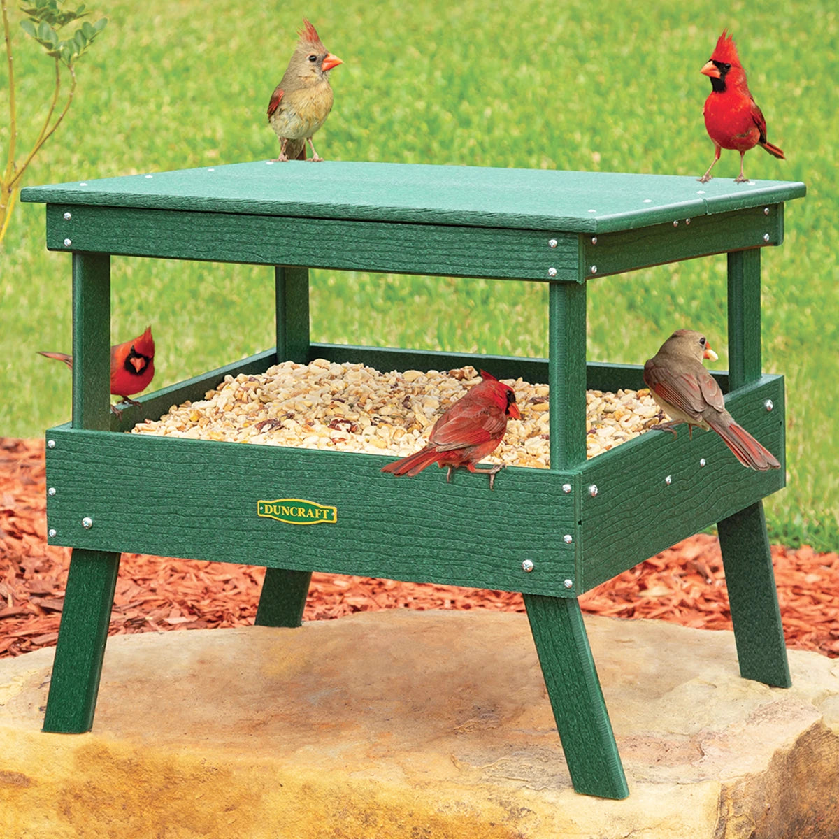 Duncraft Ground Platform Feeder