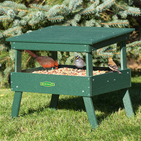 Duncraft Protected Ground Platform Feeder on lawn, surrounded by three birds. Features wide feeding platform, angled roof, and metal mesh flooring for optimal drainage.