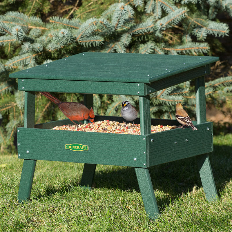 Duncraft Protected Ground Platform Feeder with birds feeding on a wide platform. Features an angled roof, metal mesh flooring, and fly-through openings.