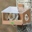 Squirrel Scramble Feeder: A squirrel eating seeds inside a bird feeder designed with multiple openings and a clear roof, mounted on a flat surface.