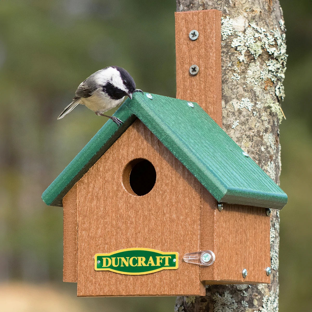 Duncraft EZ Mount Chickadee Cape House with bird perched, featuring a 1-1/8 inch entry hole, durable construction, and easy cleanout design for chickadees.