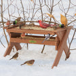 Duncraft Safe Haven Wonderland Feeder in snowy yard, attracting small songbirds like a Northern Cardinal and finches, utilizing dual seed trays with sheltered design.