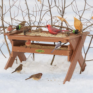 Duncraft Safe Haven Wonderland Feeder in snowy yard, attracting small songbirds like a Northern Cardinal and finches, utilizing dual seed trays with sheltered design.