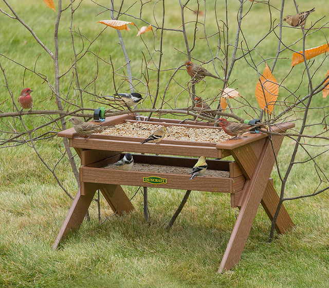 Duncraft Safe Haven Wonderland Feeder with two seed trays, birds perched on the feeder, and branches for shelter against larger birds.