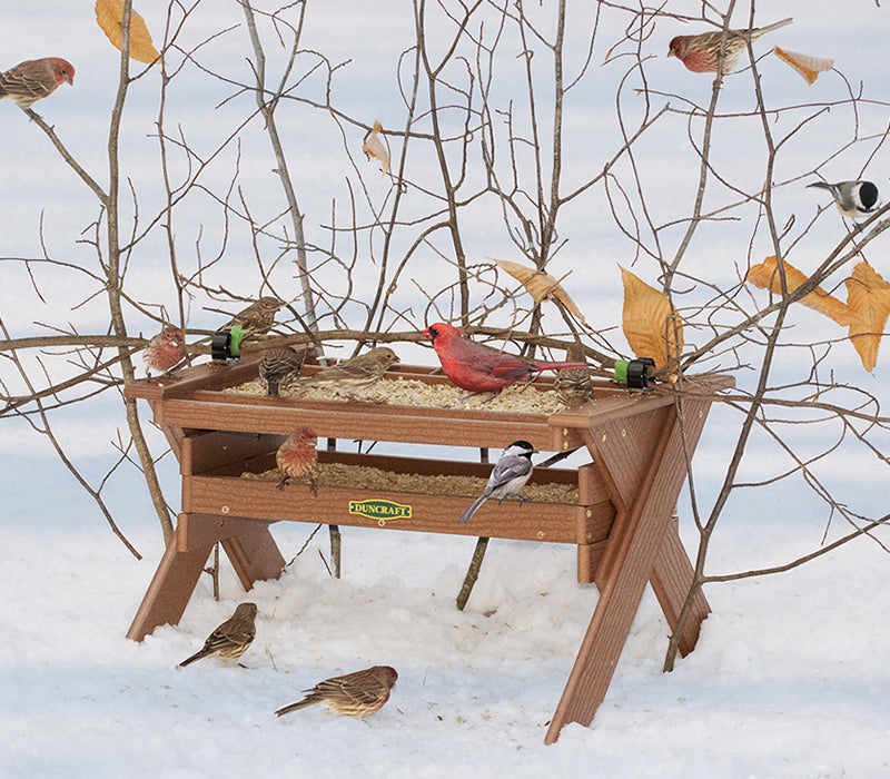 Duncraft Safe Haven Wonderland Feeder with birds perched on its two seed trays, surrounded by branches for shelter, in an outdoor winter setting.