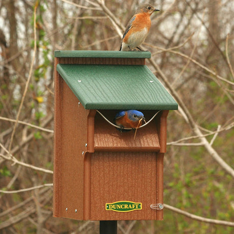 Duncraft Bluebird Swing Guard Bird House with a bluebird perched on top, showcasing the 1-1/2 inch entry hole and swing blocker design.